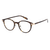 Tortoise