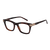 Tortoise
