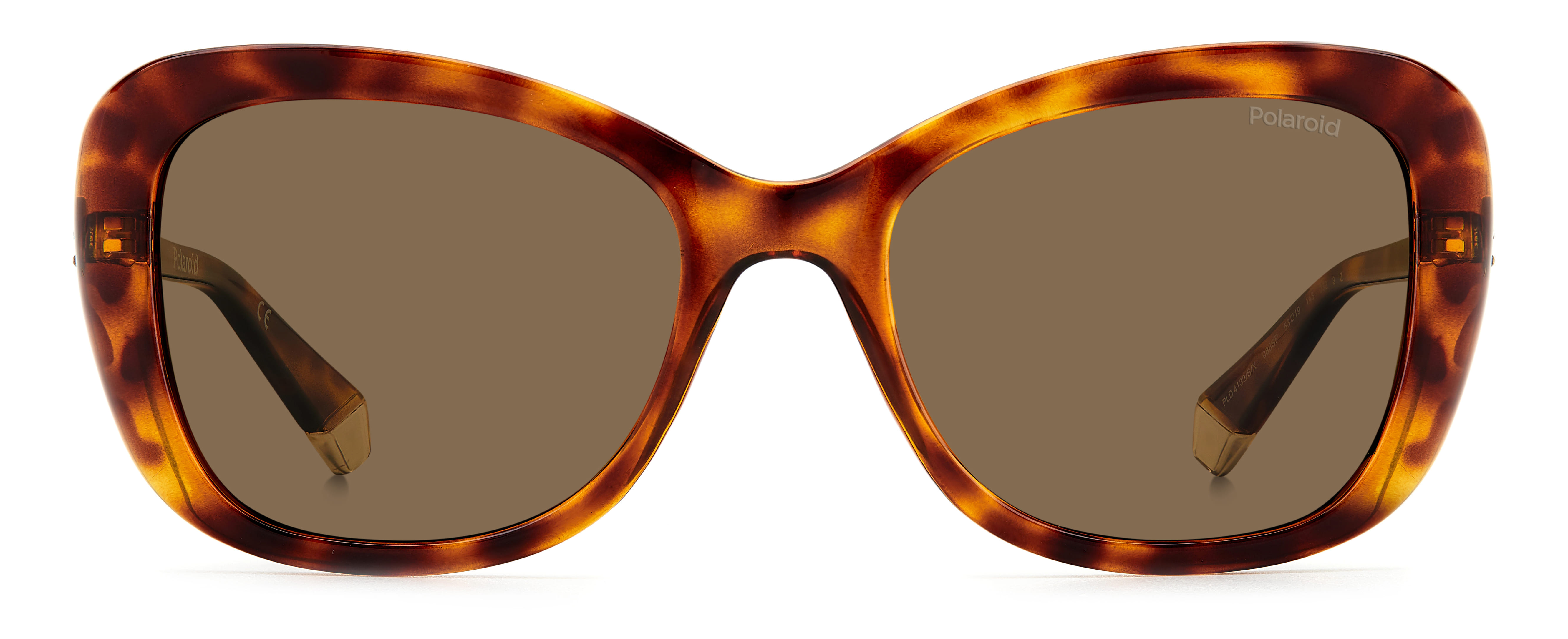 Polaroid PLD4132/S/X Sunglass Havana Female Full Shell Sunglass — Havana frame — view 2