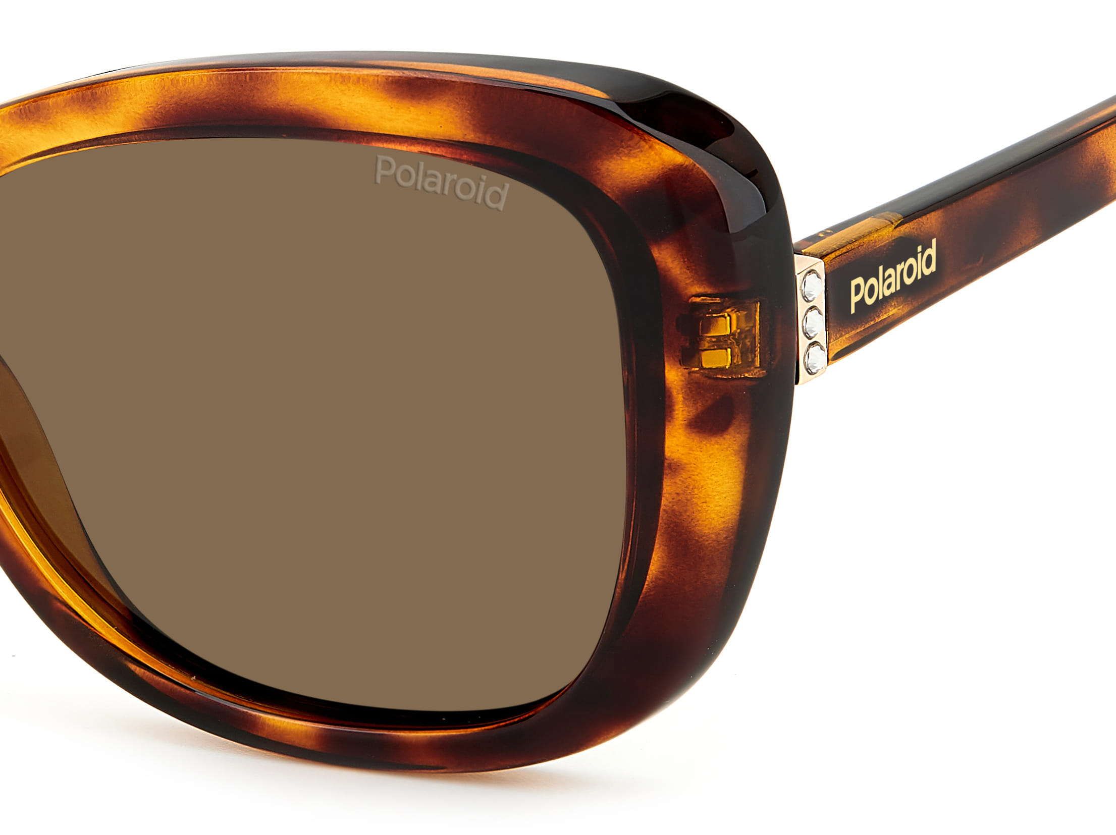 Polaroid PLD4132/S/X Sunglass Havana Female Full Shell Sunglass — Havana frame — view 3
