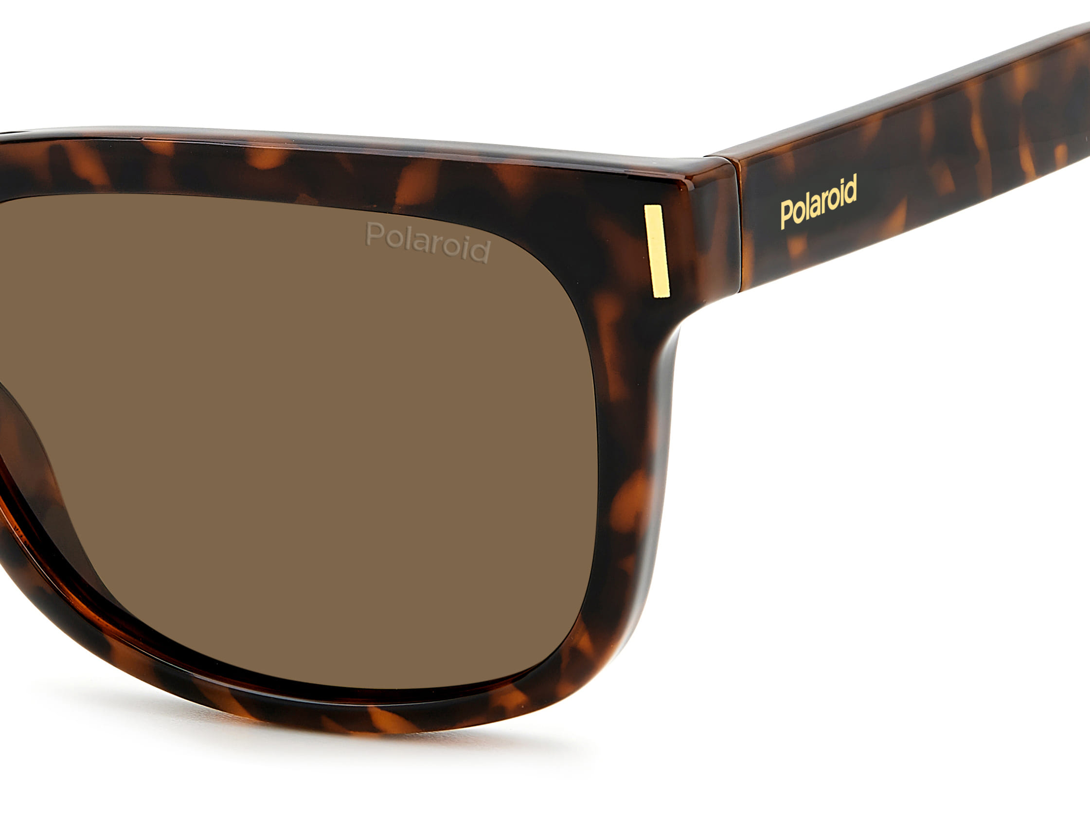 Polaroid 6191/S Sunglass Havana Unisex Full Shell Sunglass — Havana frame — view 3