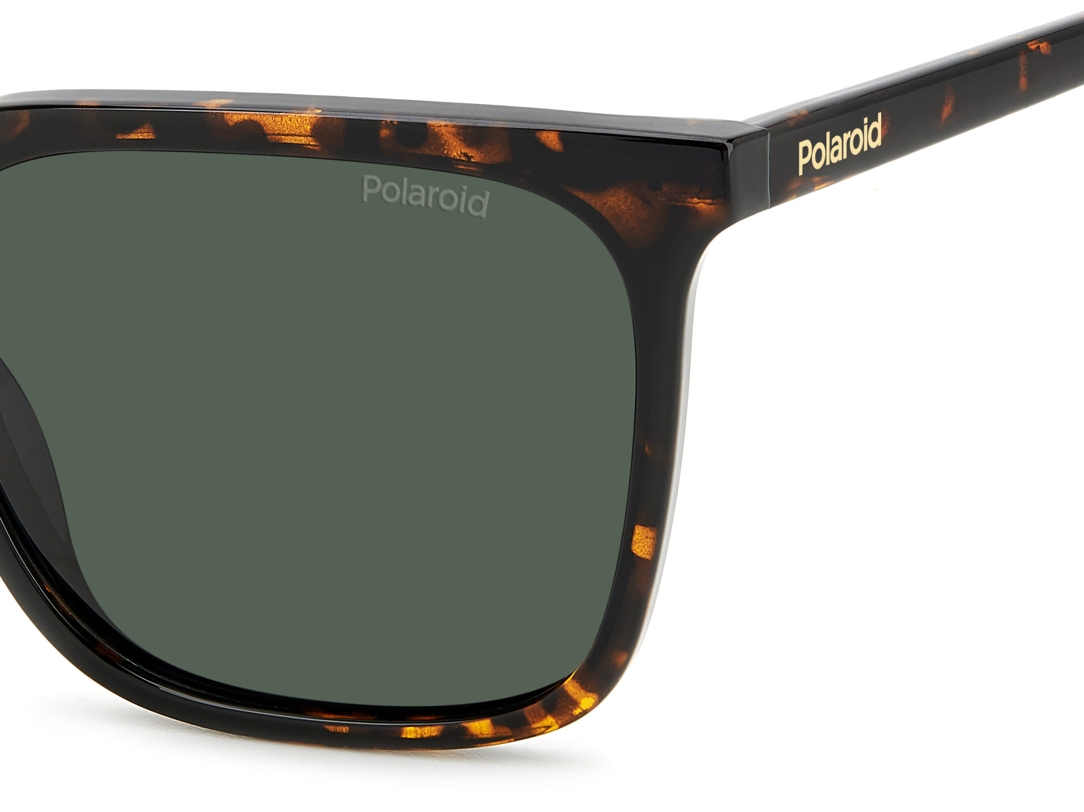 Polaroid PLD 4163/S Sunglass Havana Female Full Shell Sunglass — Havana frame — view 5