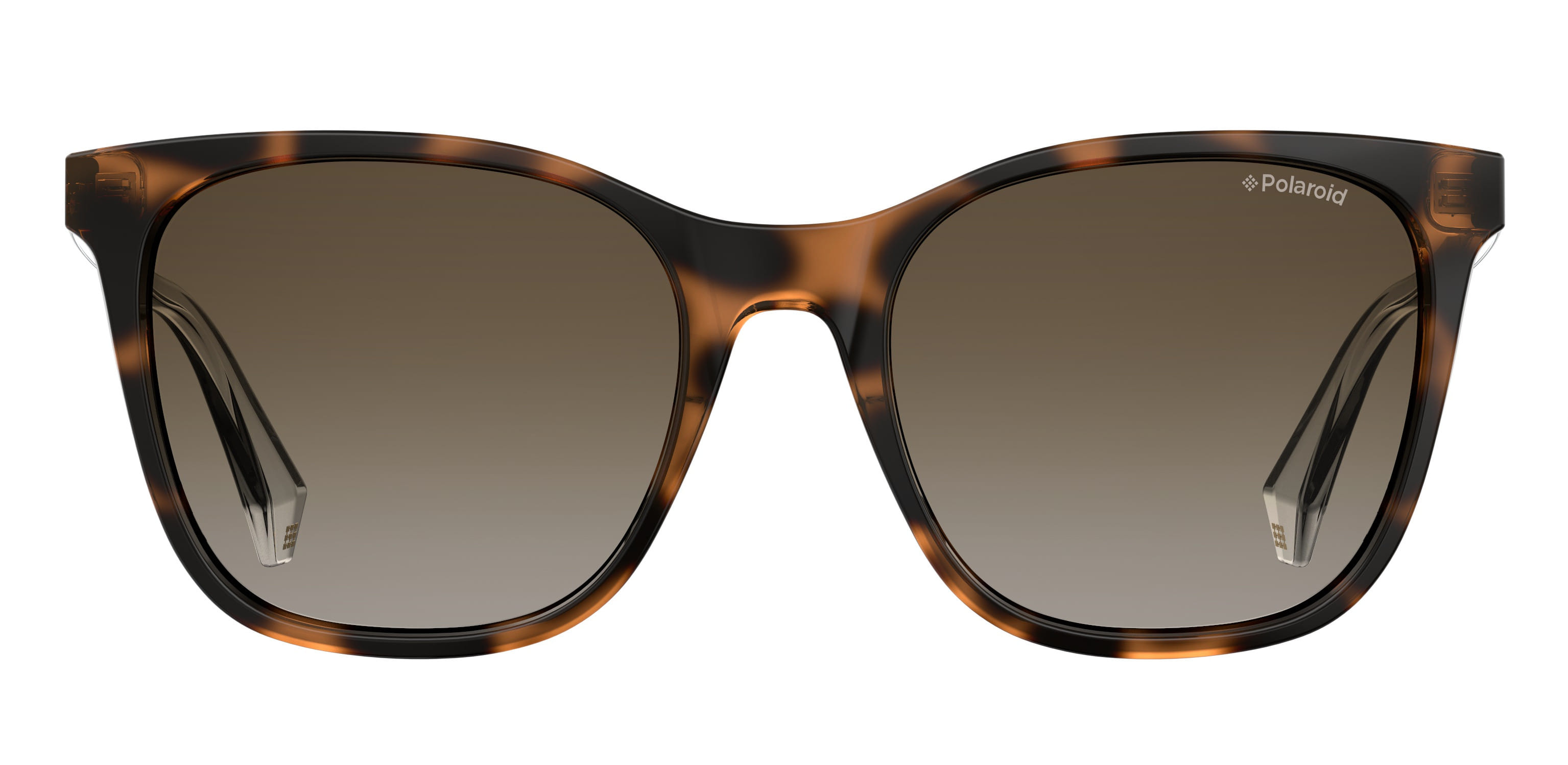 Polaroid PLD 4059/S Sunglass Brown Female Full Shell Sunglass — Brown frame — view 2
