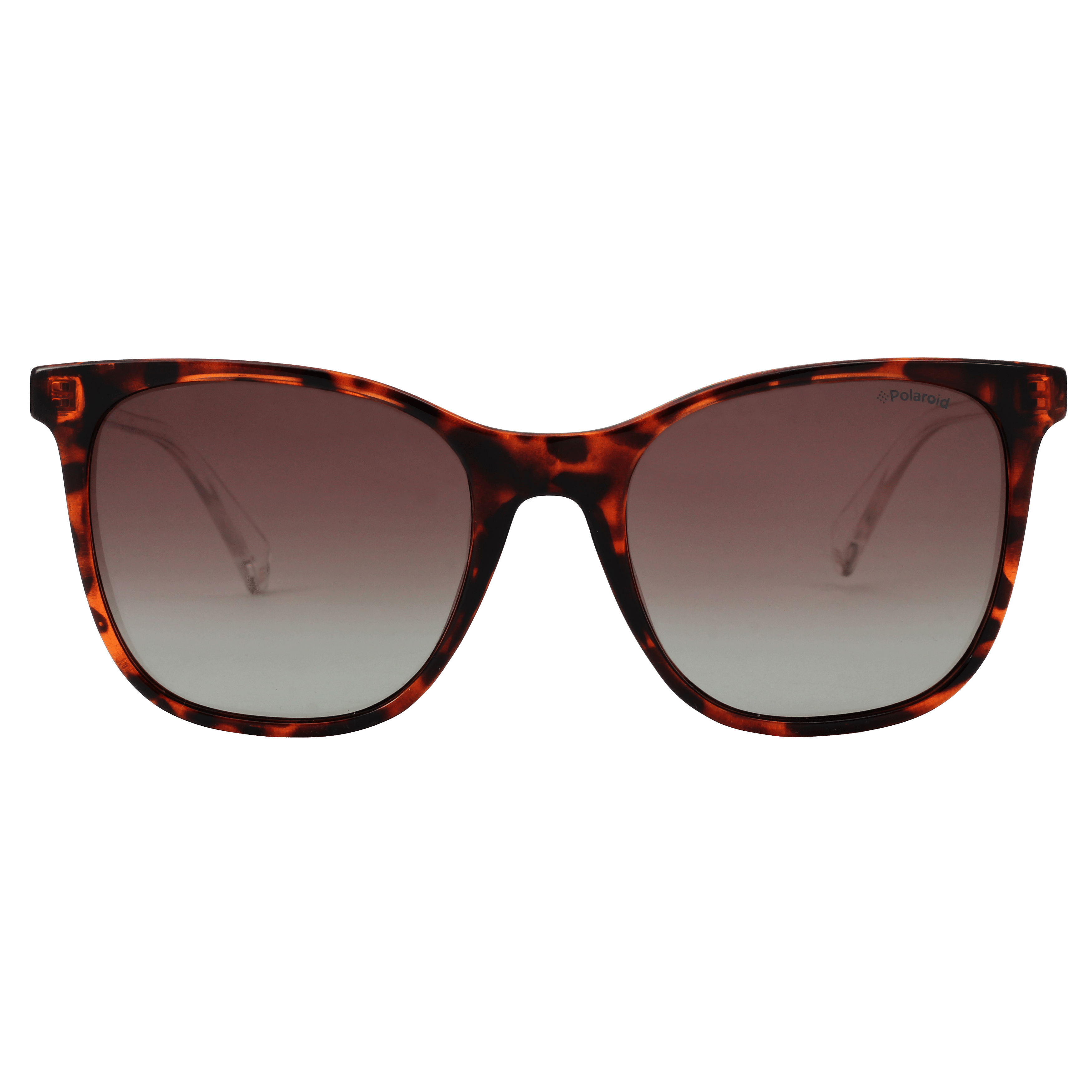 Polaroid PLD 4059/S Sunglass Brown Female Full Shell Sunglass — Brown frame — view 5