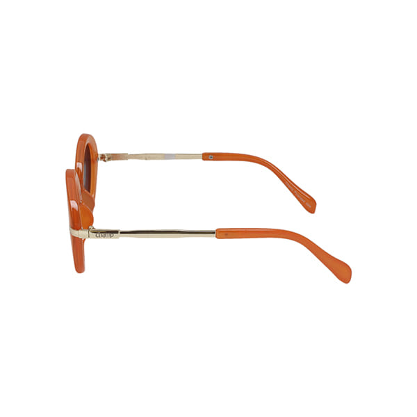 Champ 0416D Sunglass Brown Kids Full Metal Sunglass — Brown frame — view 3
