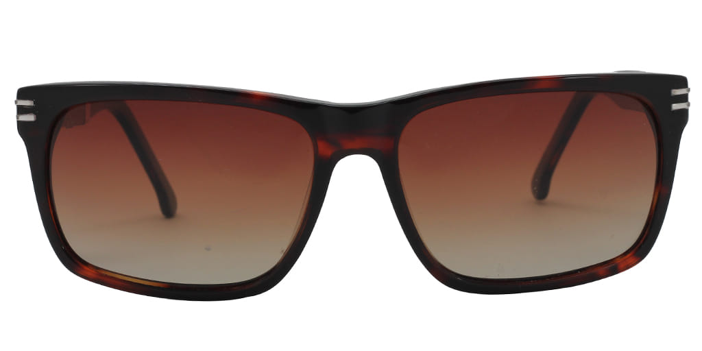 Lancebremmer S1816O Sunglass Brown Male Full Shell