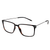 Tortoise