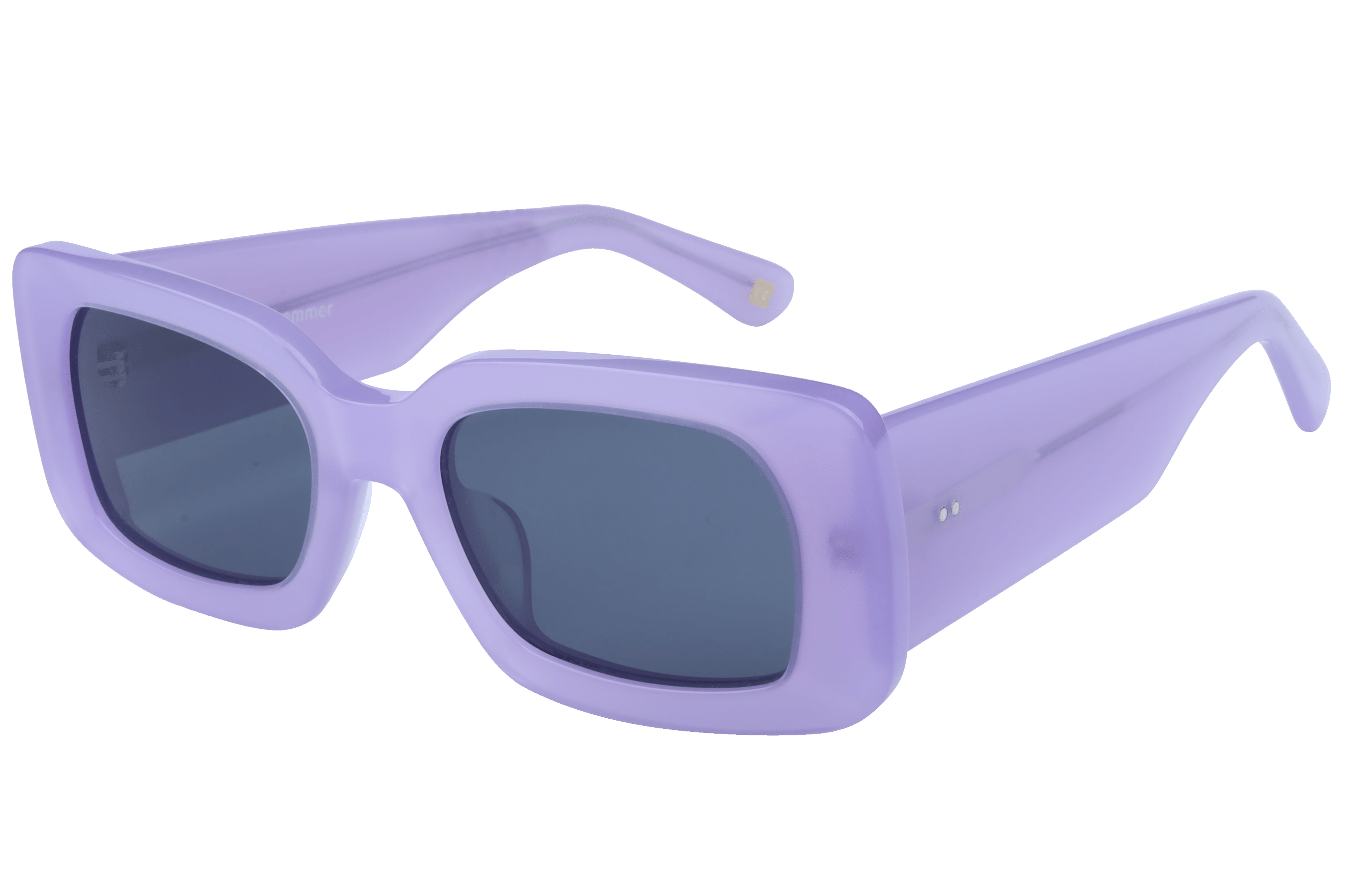 Lancebremmer AT8299 Sunglass Violet Female Full Shell — Violet frame
