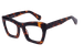 Tortoise