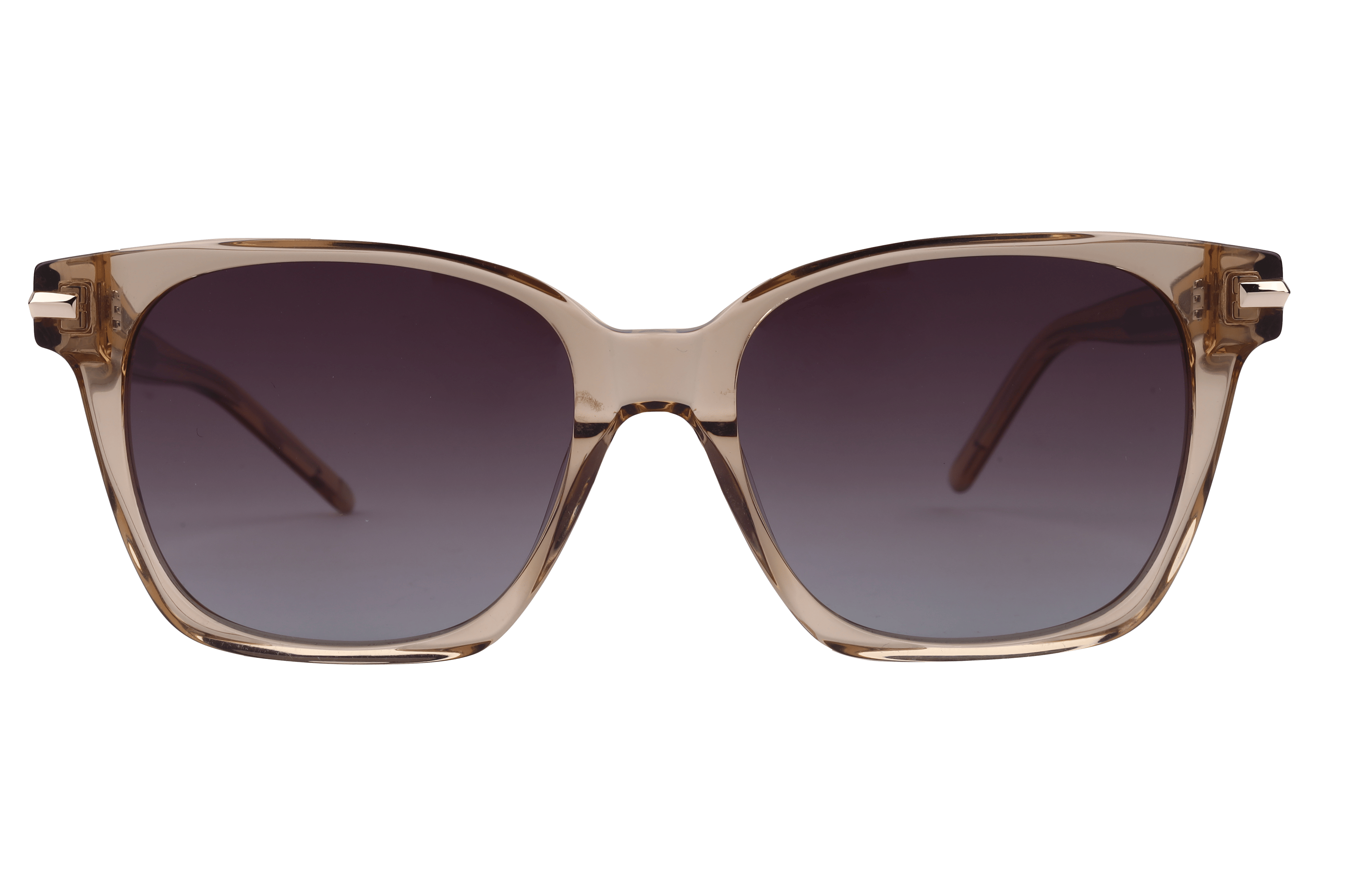 Lancebremmer AT8380 Sunglass Transparent Brown Male Full She