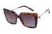 Tortoise