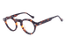 Tortoise