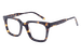 Tortoise