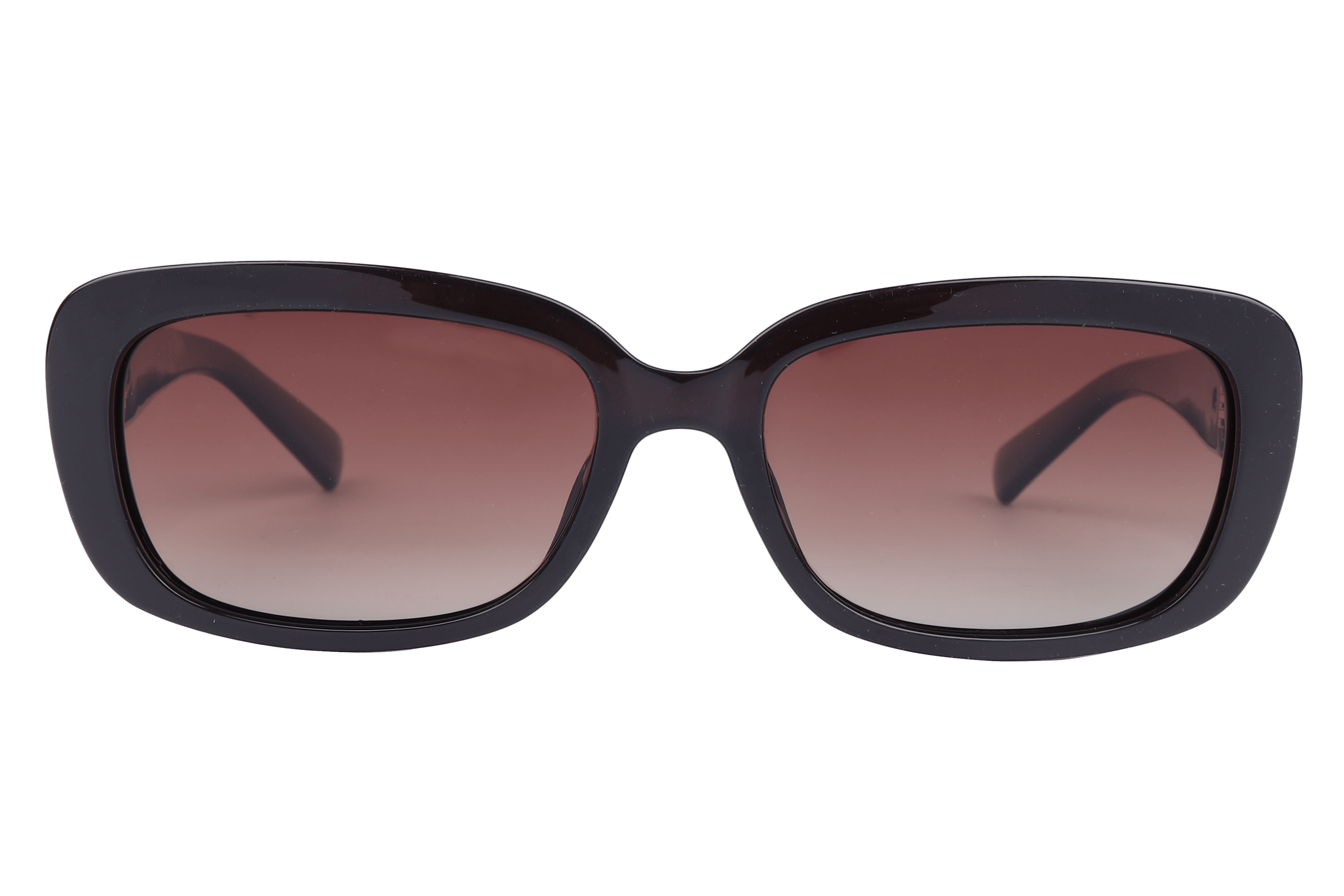 Lancebremmer S1002 Sunglass Brown Female Full Shell Sunglass — Brown frame — view 2