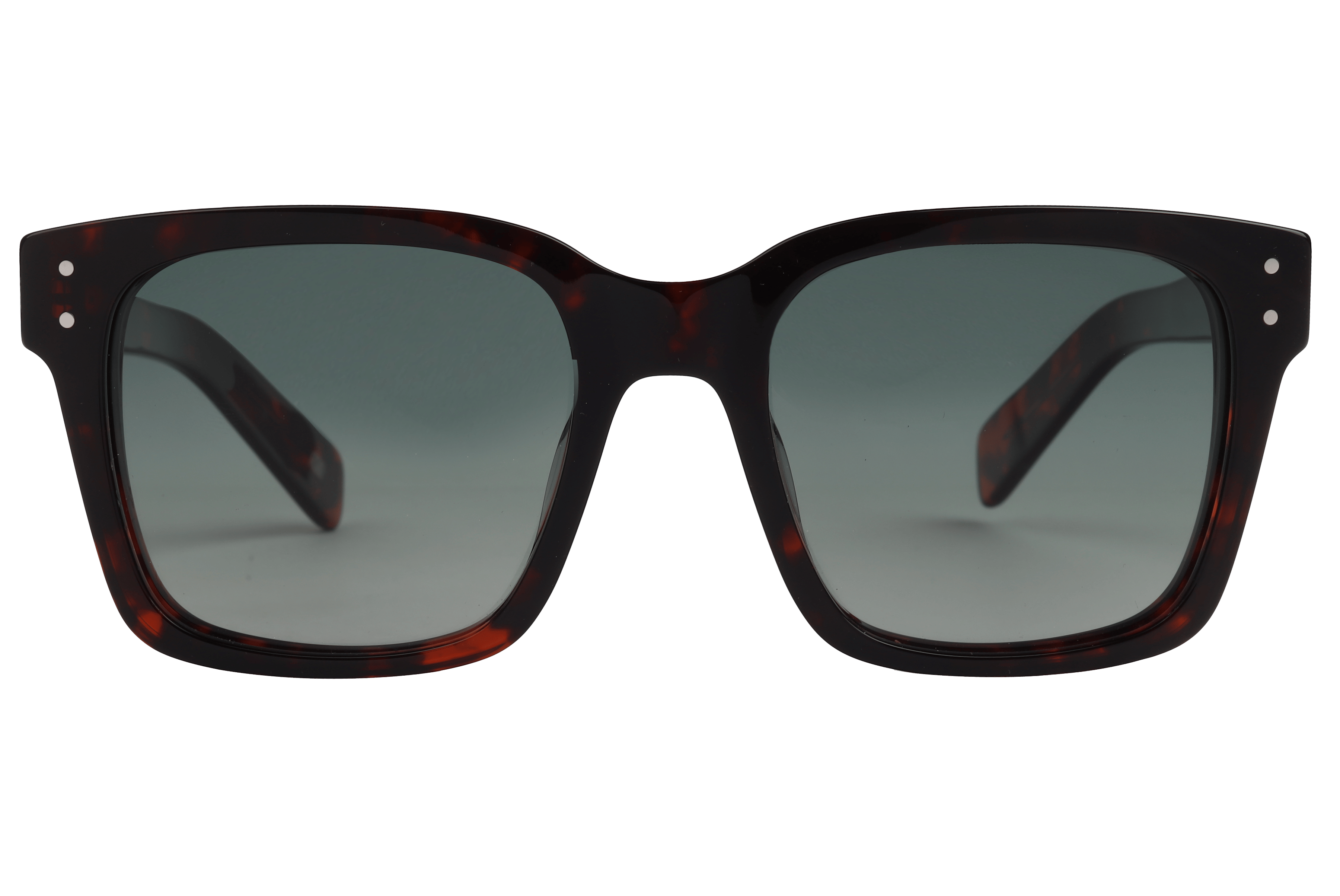 Lancebremmer AT8554 Sunglass Havana Male Full Shell Sunglass — Havana frame — view 2