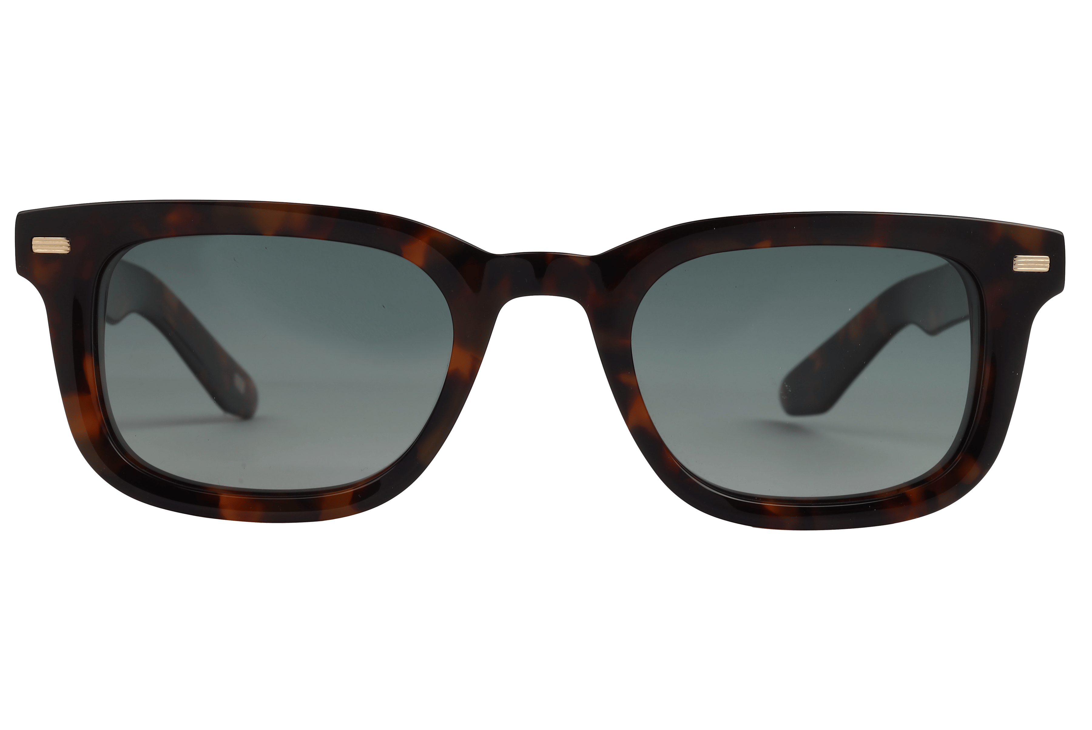 Lancebremmer AT8553 Sunglass Havana Male Full Shell Sunglass — Havana frame — view 2
