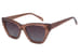 Transparent Brown
