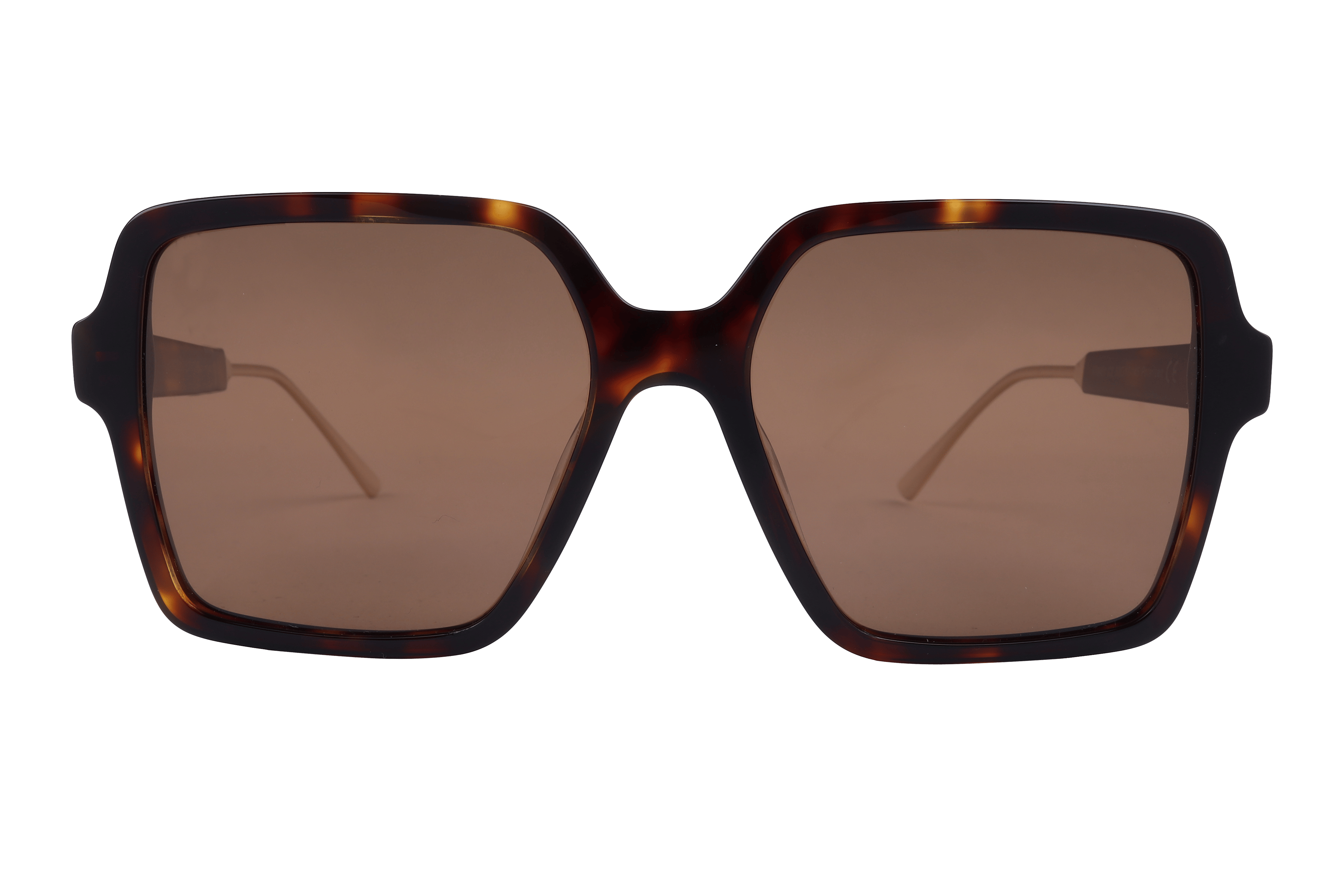 Lancebremmer AT8431 Sunglass Havana Female Full Shell Sunglass — Havana frame — view 2
