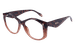 Tortoise