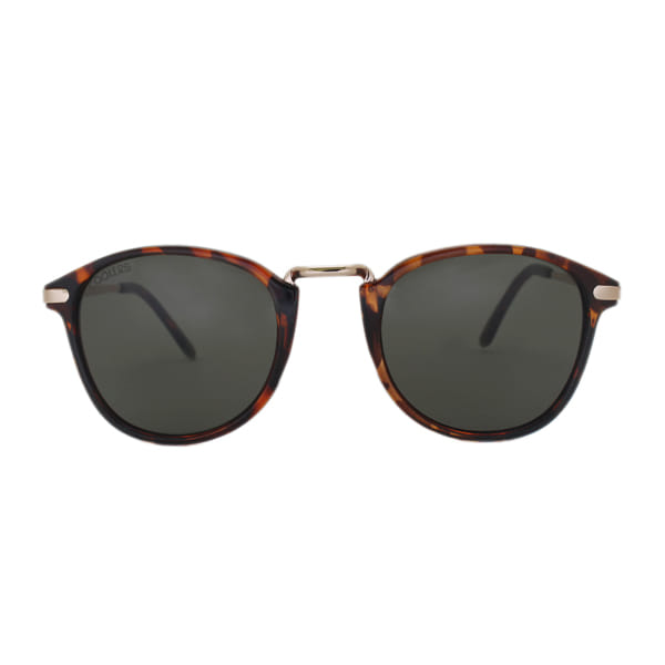 Coolers S0117TG Sunglass Brown Unisex Full Metal