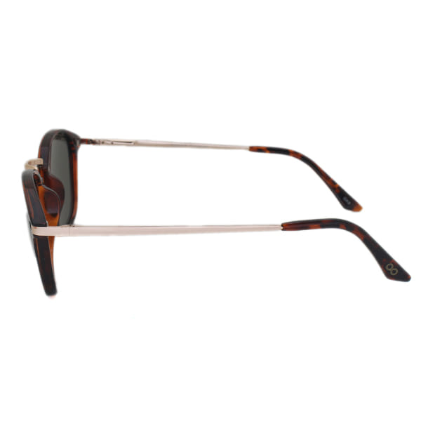 Coolers S0117TG Sunglass Brown Unisex Full Metal Sunglass — view 3