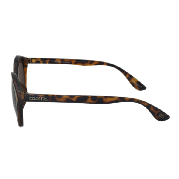 Coolers S0817TG Sunglass Brown Female Full Shell Sunglass — view 3