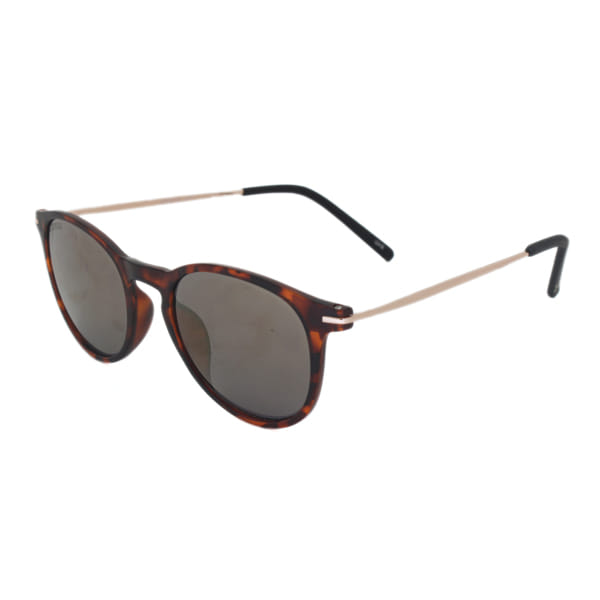 Coolers S0317TG Sunglass Brown Unisex Full Metal Sunglass — Brown frame — alternate view