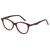 Tortoise