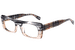 Tortoise