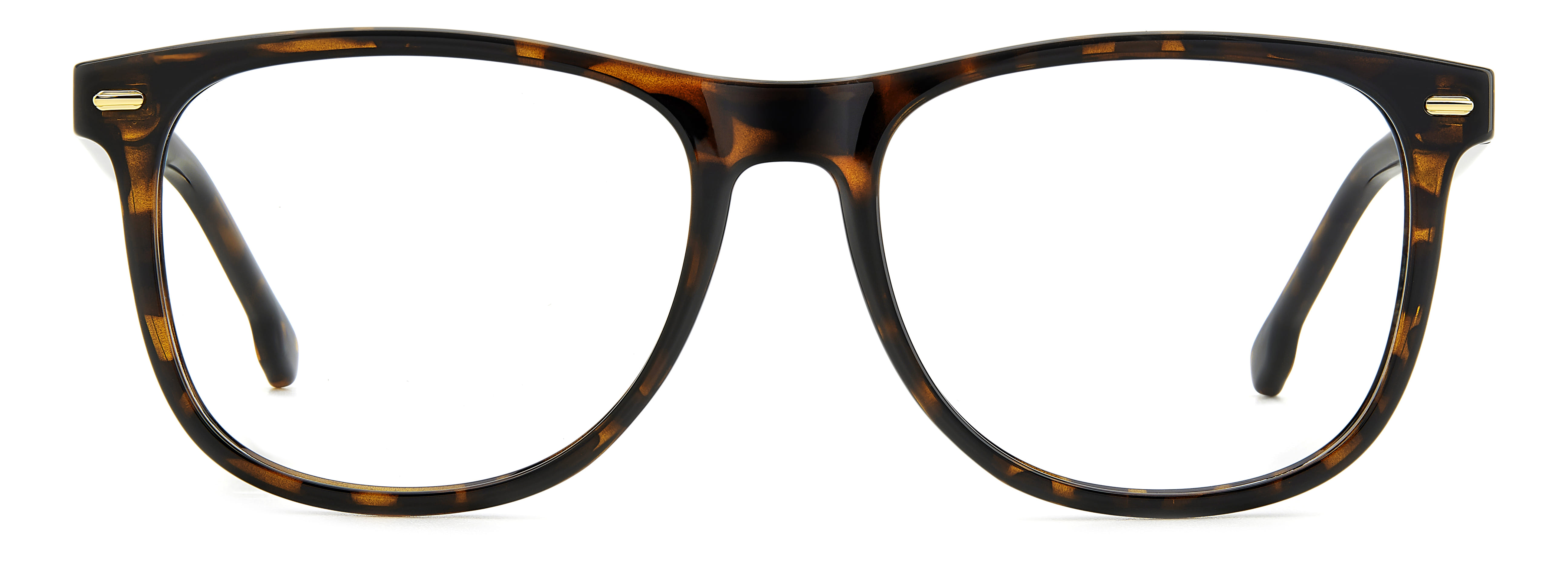 Carrera 2049T Frame Havana Male Full Shell Frame — Havana frame — view 2
