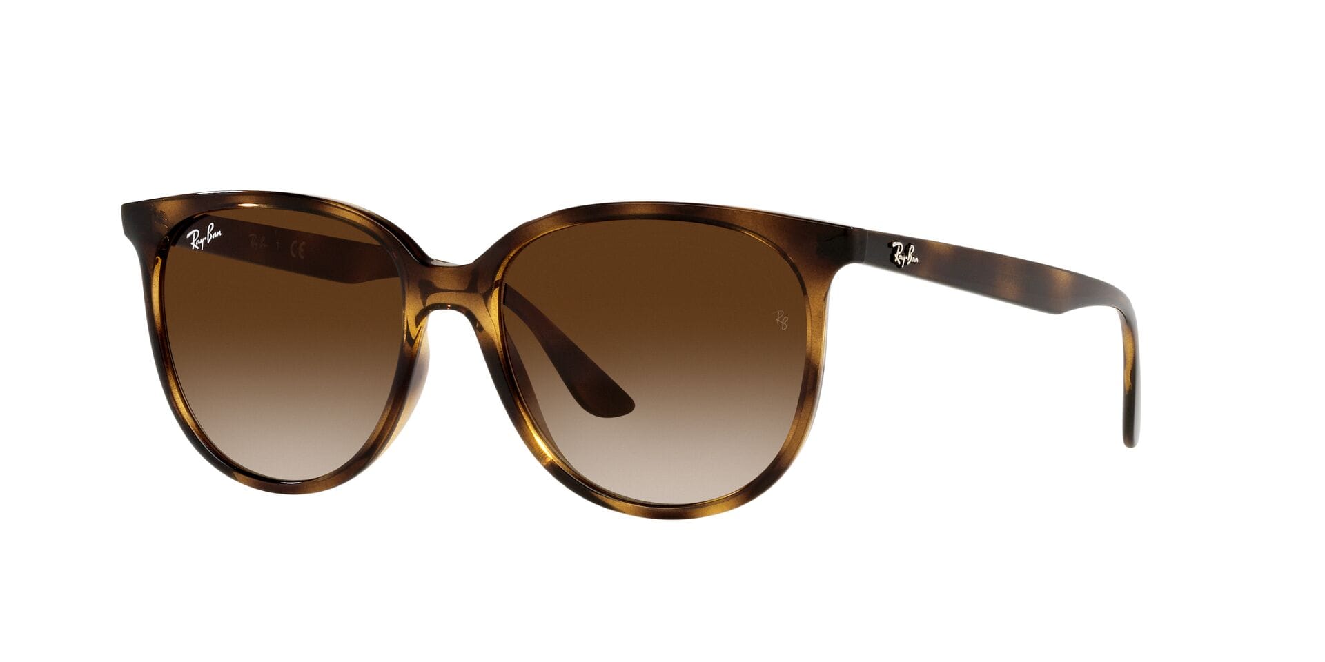 Rayban 0RB4378 Sunglass Brown Female Full Shell — Brown frame