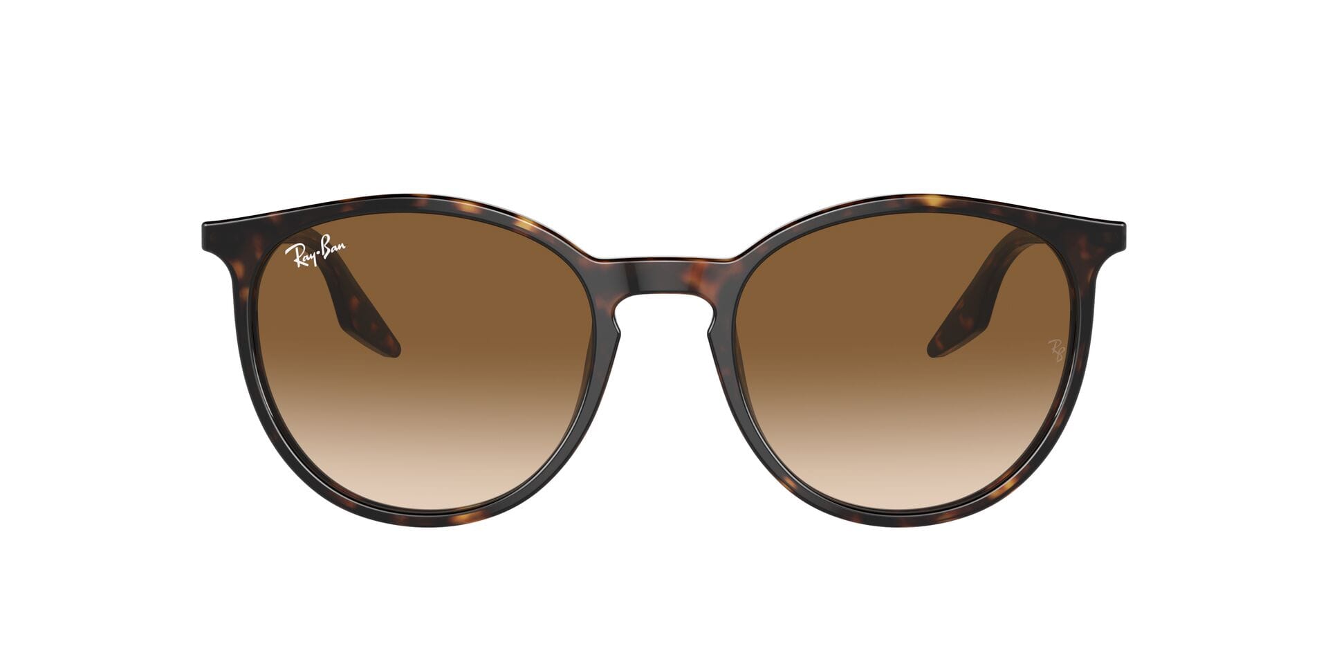 Rayban 0RB2204 Sunglass Tortoise Unisex Full Shell Sunglass — Tortoise frame — view 2