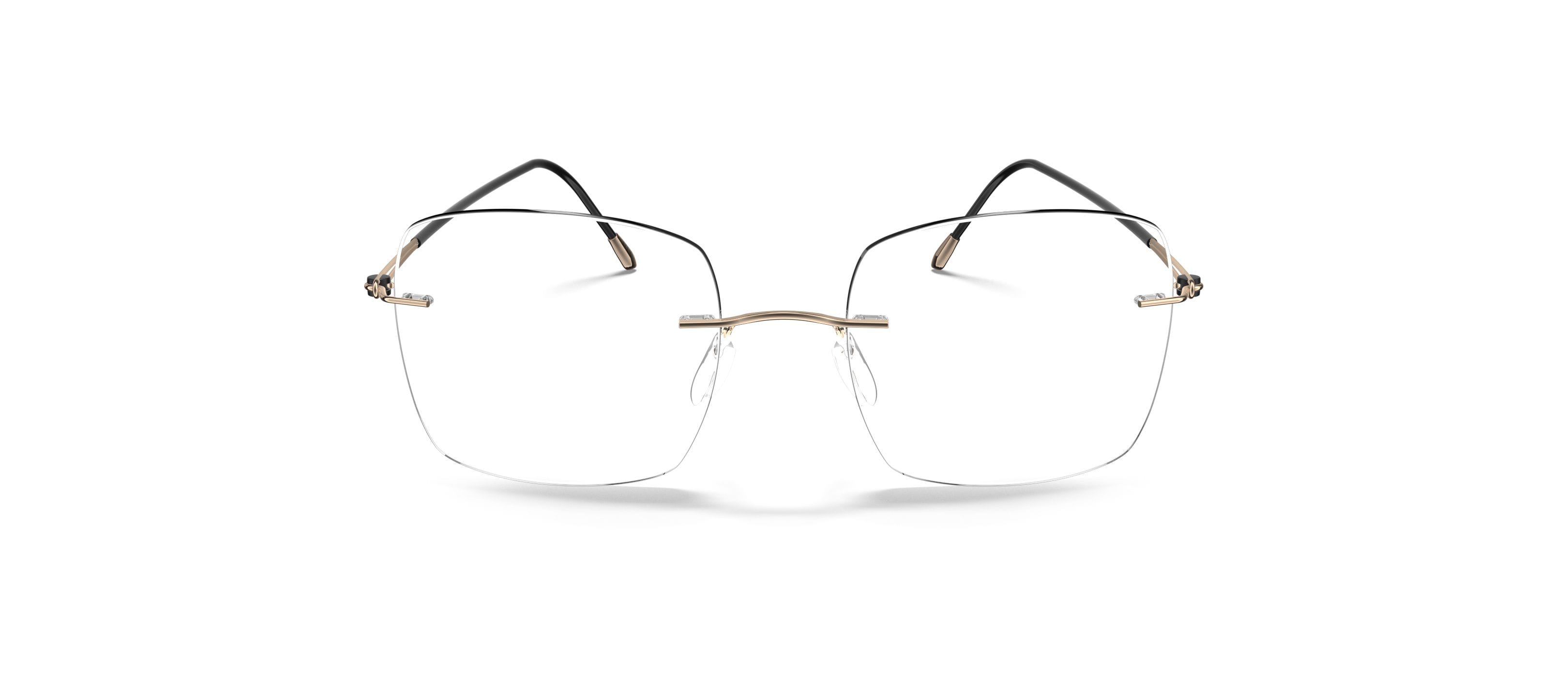 Silhouette 5569 Frame Gold Male RimLess Titanium Frame — Gold frame — view 2