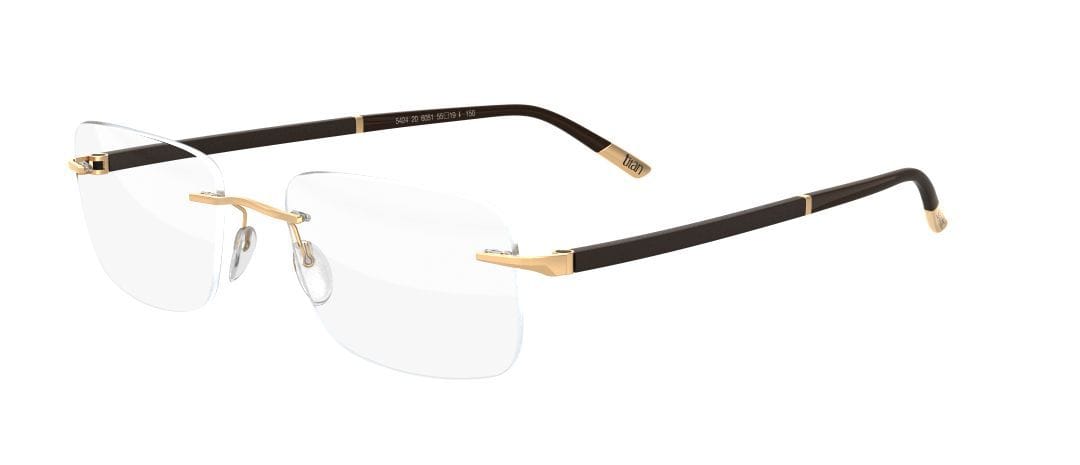 Silhouette 5424/20 Frame Gold Unisex RimLess Shell