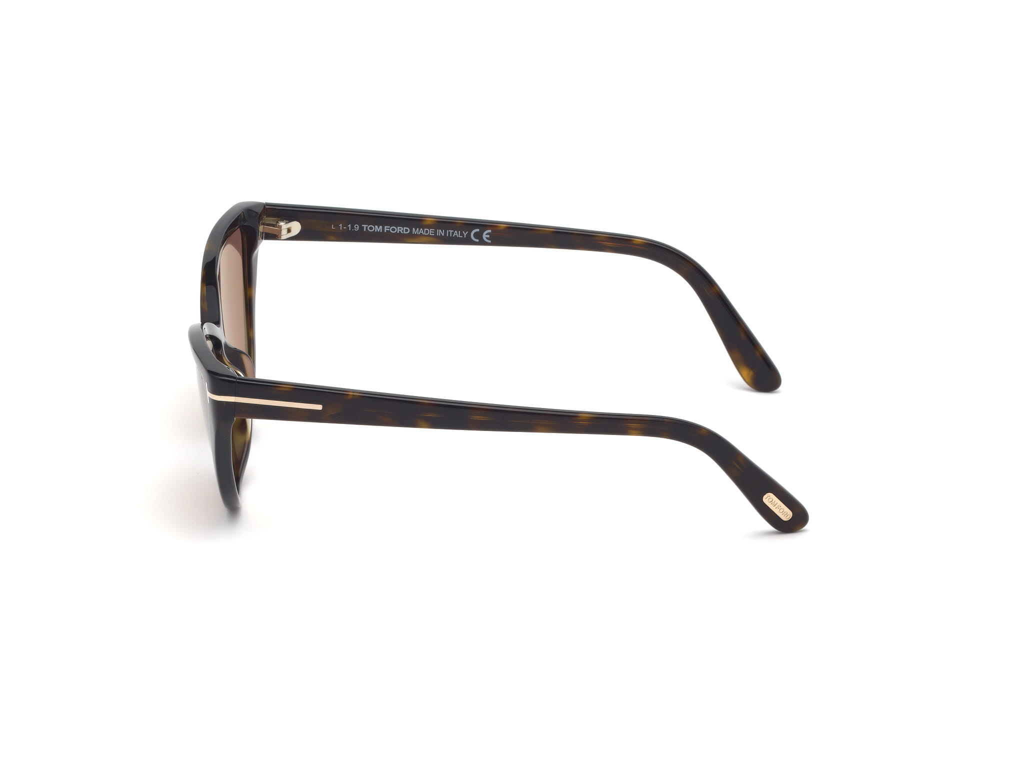 Tomford FT0740 Sunglass Brown Female Full Shell Sunglass — Brown frame — view 3