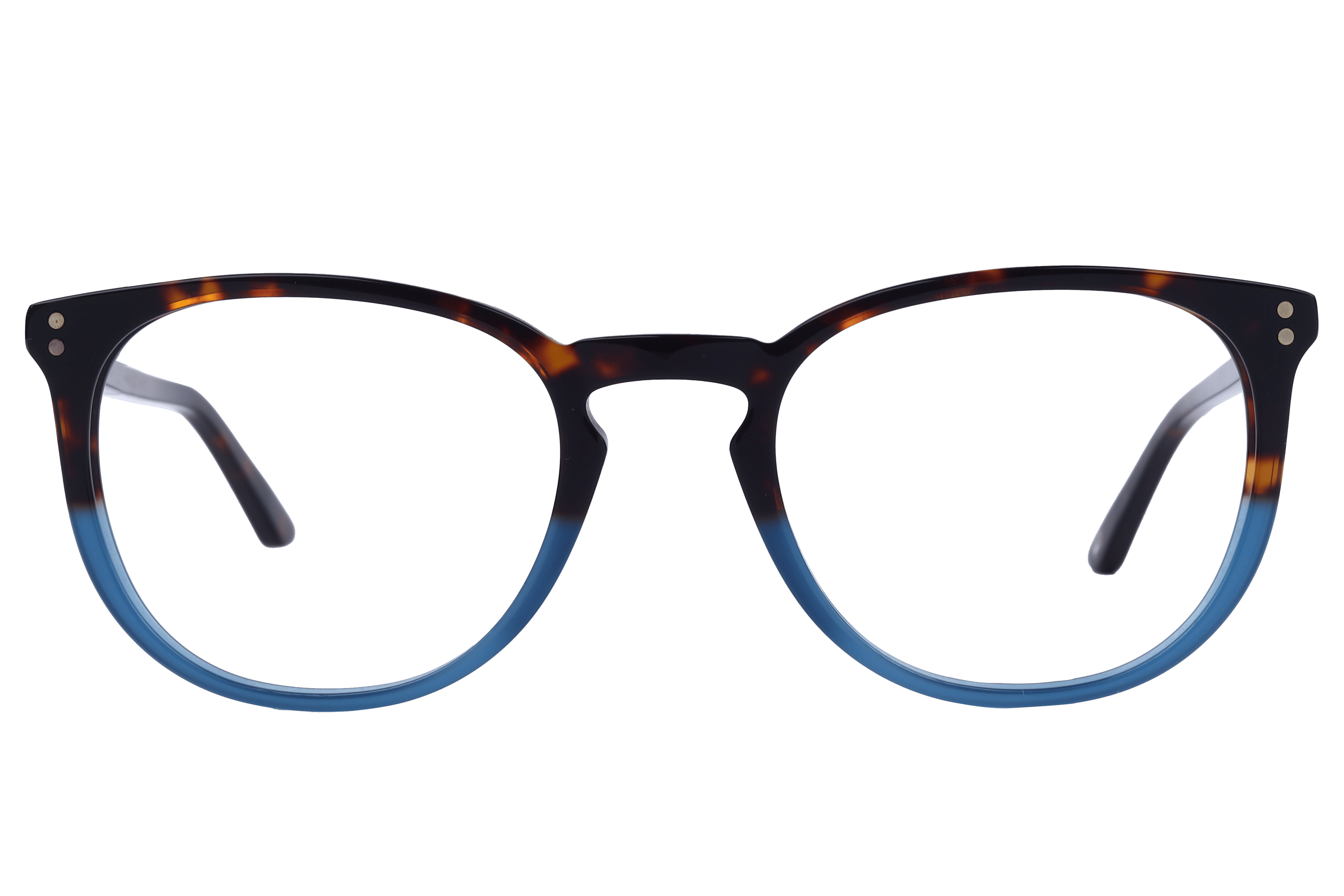 Tommy Hilfiger TH6244 Frame Tortoise Male Full Shell Frame — Tortoise frame — view 2