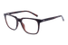 Tortoise