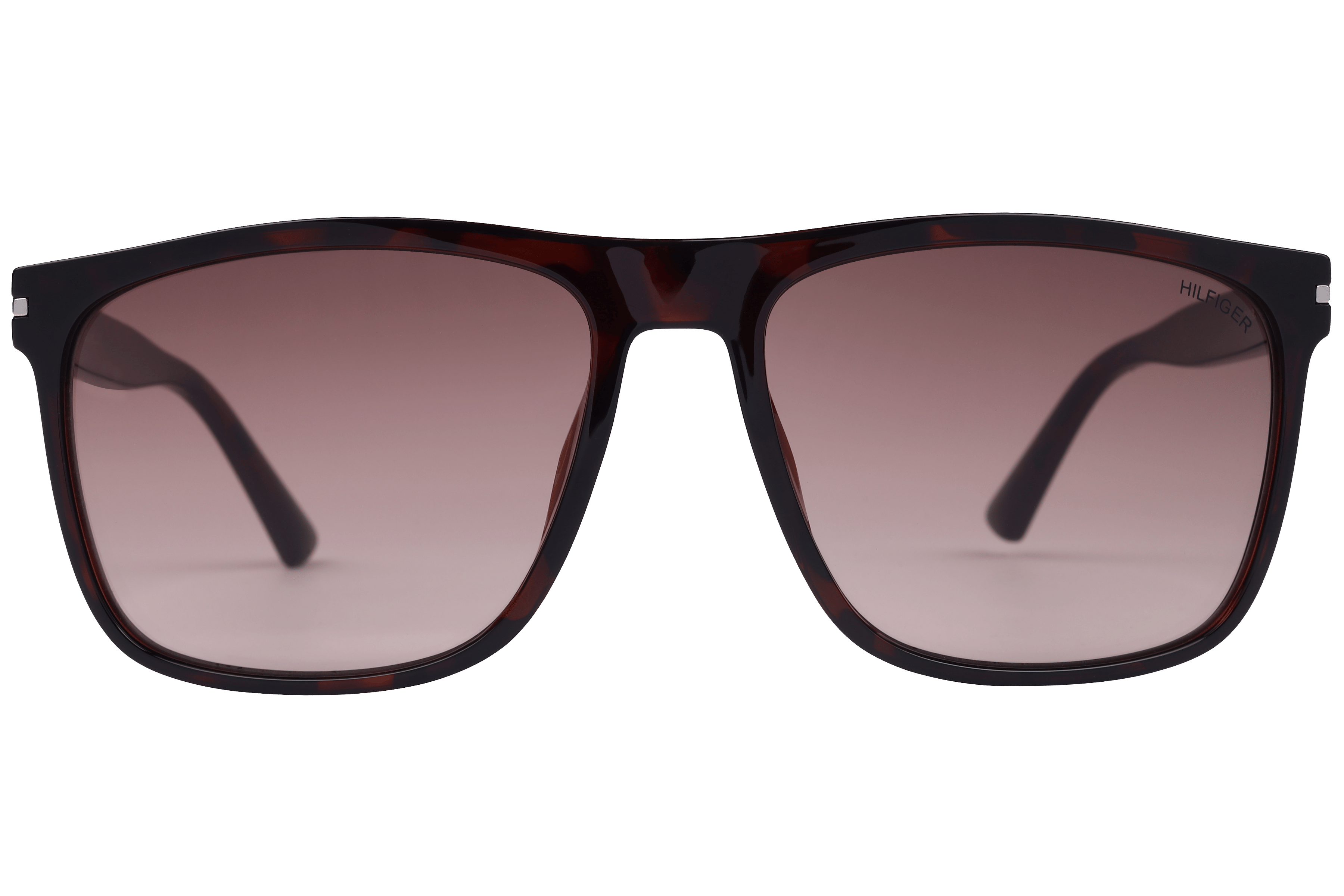 Tommy Hilfiger TH1572 Sunglass Havana Male Full Shell Sunglass — Havana frame — view 2