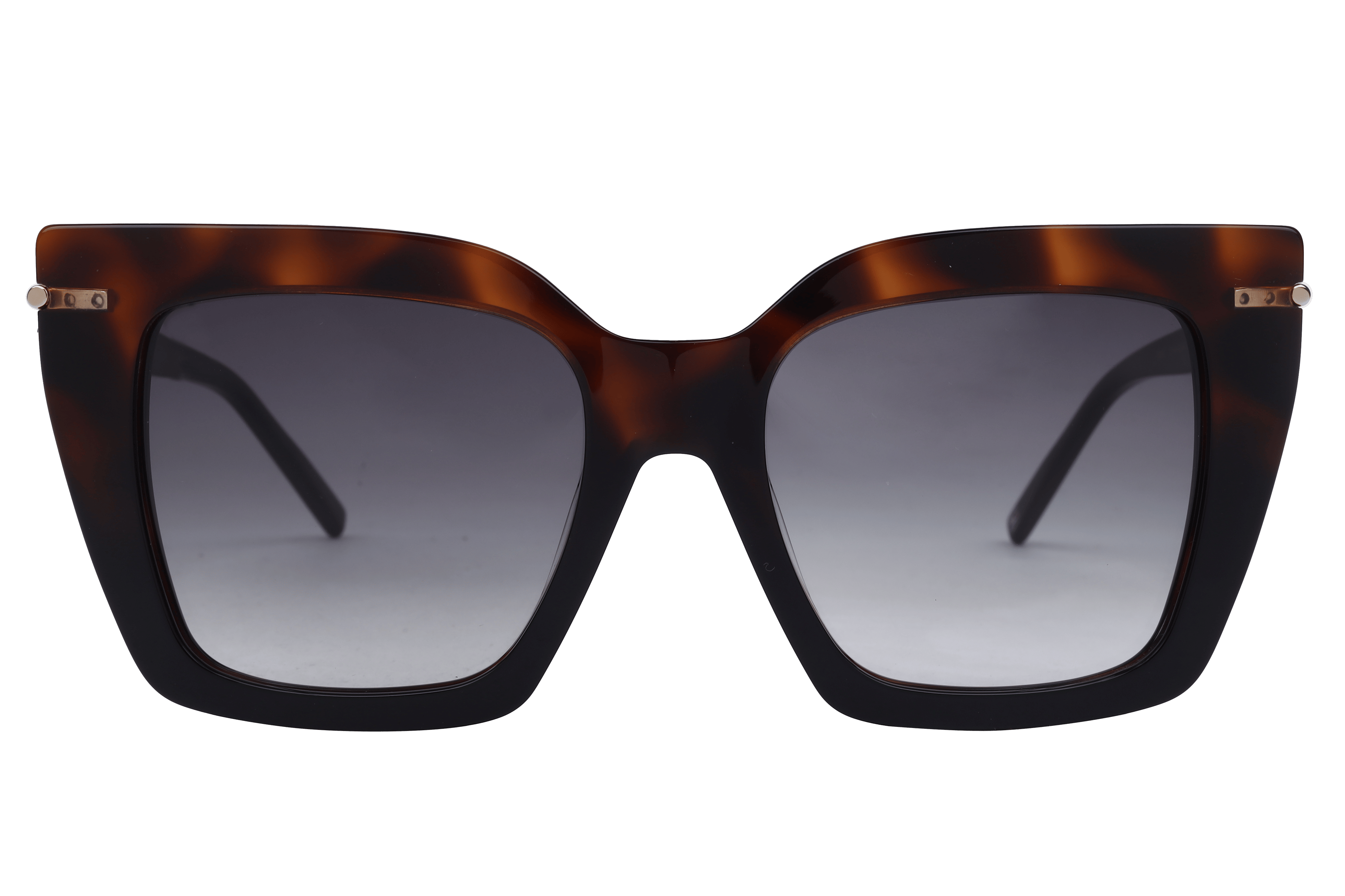 Tommy Hilfiger TH 2632 Sunglass Havana Female Full Metal Sunglass — Havana frame — view 2