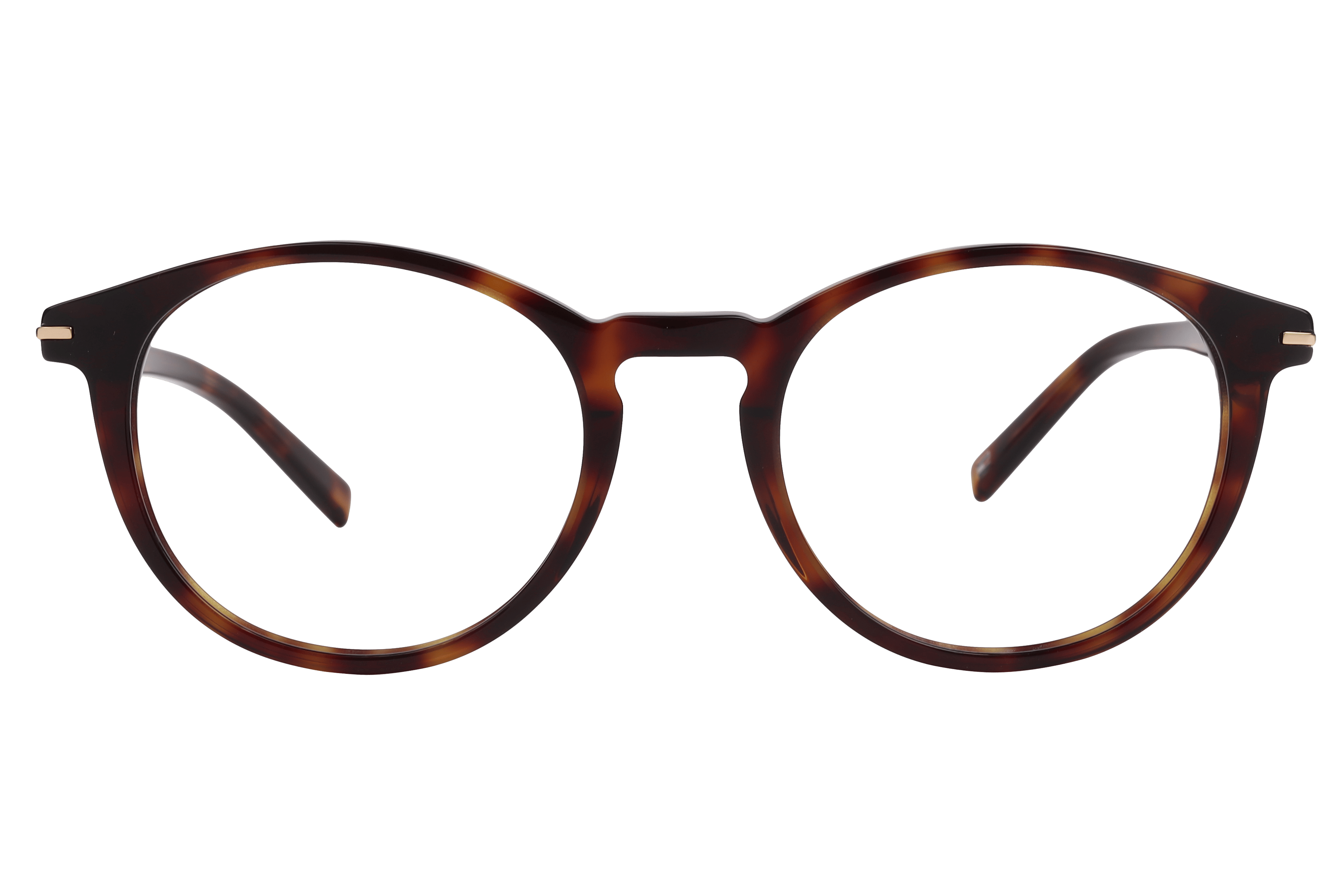 Tommy Hilfiger TH 6314 Frame Havana Unisex Full Shell Frame — Havana frame — view 2