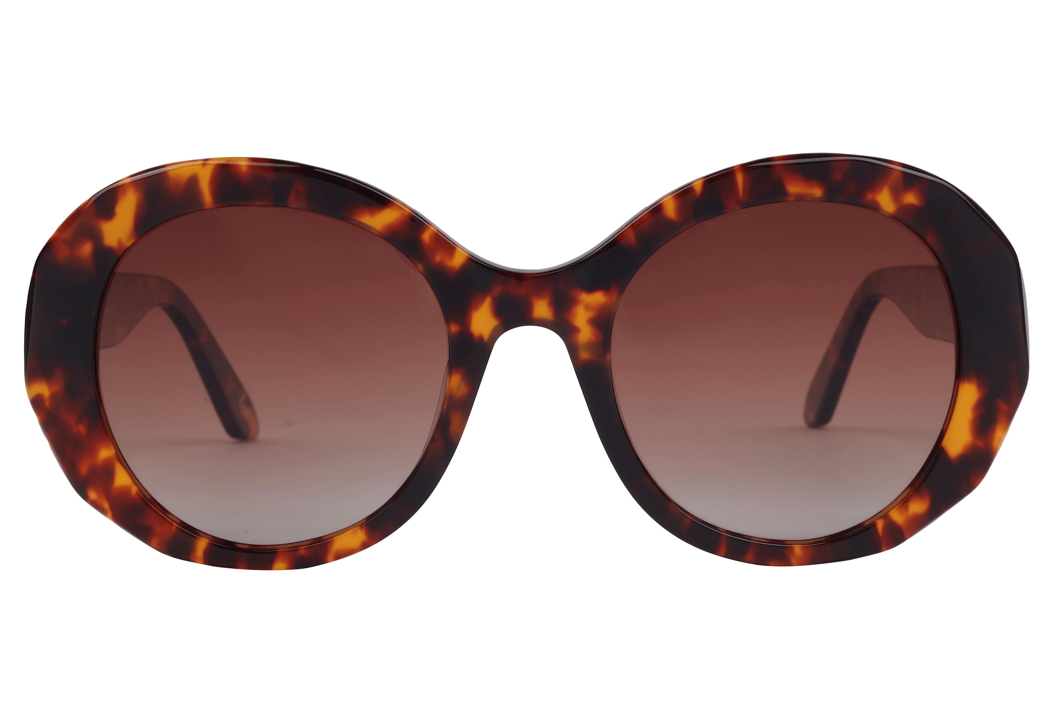 Inspira BS8046 Sunglass Havana Female Full Shell Sunglass — Havana frame — view 2