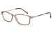 Transparent Brown