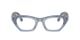 Transparent Grey