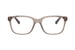 Transparent Brown