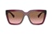 Transparent Maroon