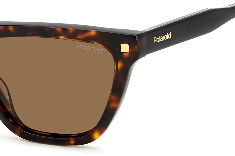 POLAROID PLD 4157/S/X 086SP Sunglass — Havana frame — view 3