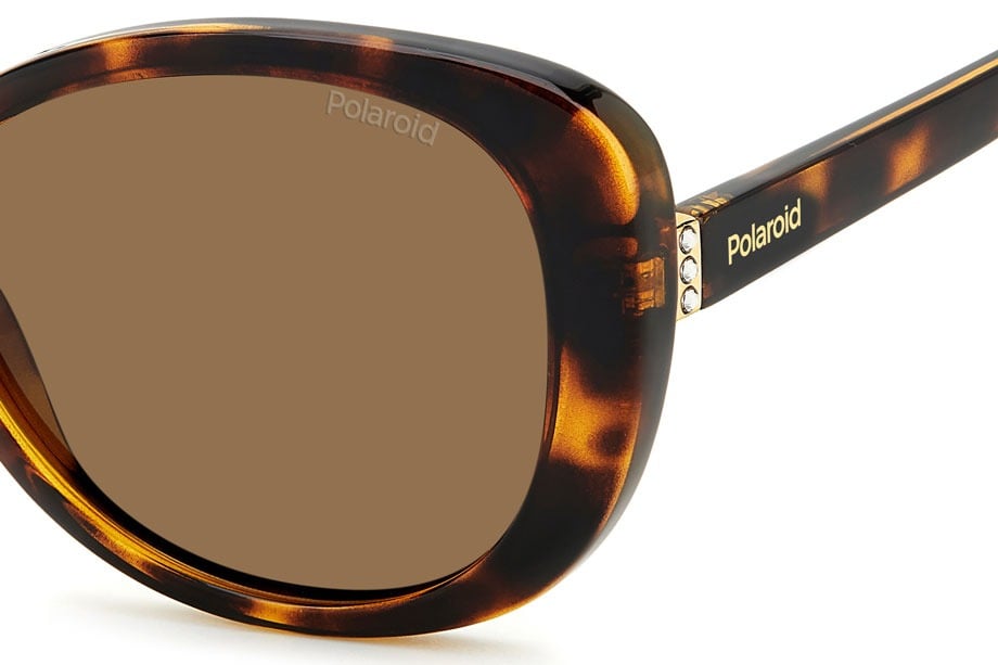 POLAROID PLD 4154/S/X 086SP Sunglass — Havana frame — view 3