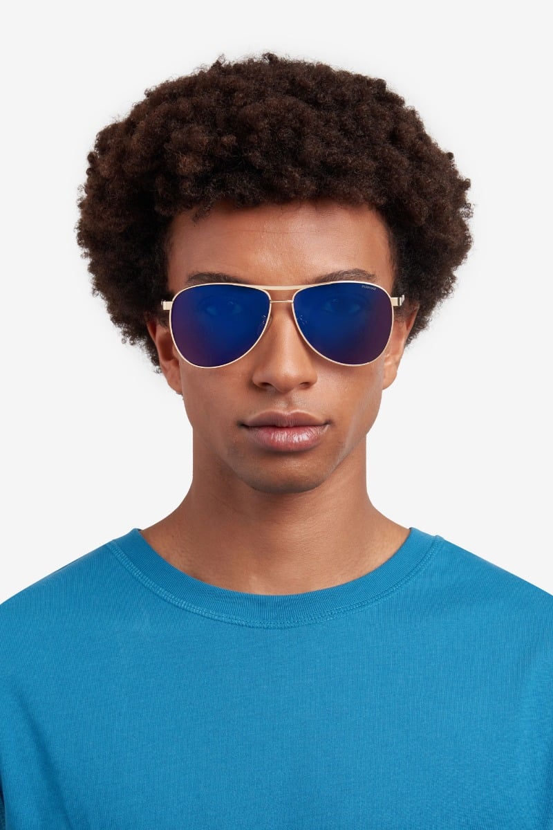 POLAROID PLD 2160/G/S/X J5G5X Sunglass — Gold frame — view 4