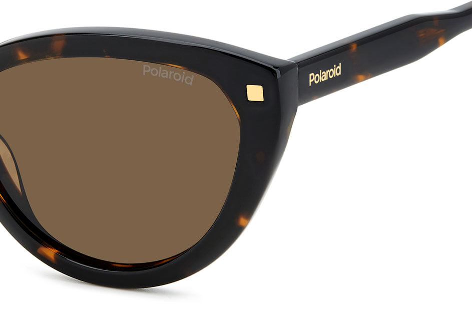 POLAROID PLD 4175/S/X 086SP Sunglass — Havana frame — view 3